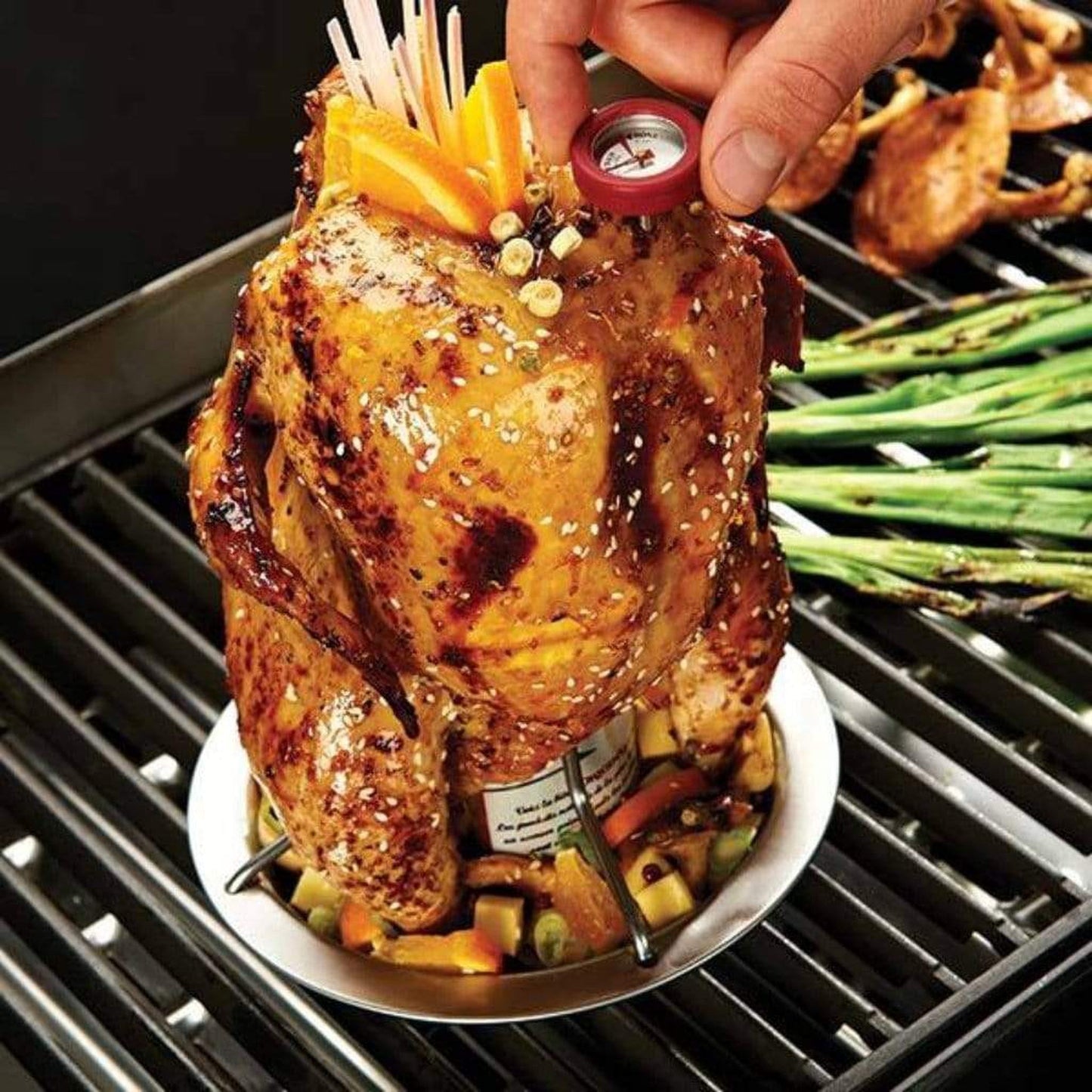 Broil King 8" Stainless Steel Chicken Roaster w/ Thermometer