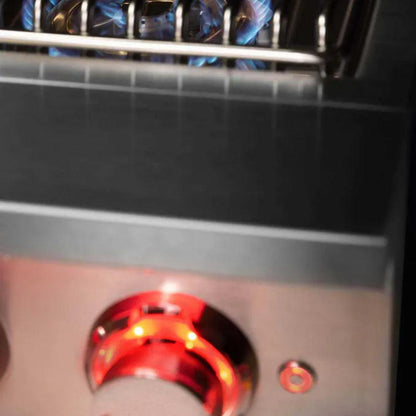 TrueFlame Stainless Steel Propane Gas Double Side Burner