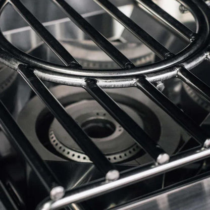 TrueFlame Stainless Steel Propane Gas Power Burner