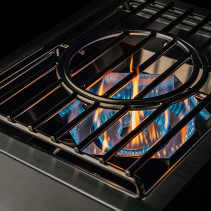 TrueFlame Stainless Steel Propane Gas Power Burner